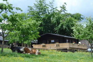 Bärenhof - Bild 1