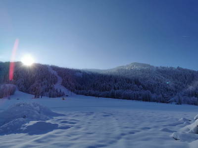 Bild 153 aus  Hartlhof Urlaub am Baby- und Kinderbauernhof