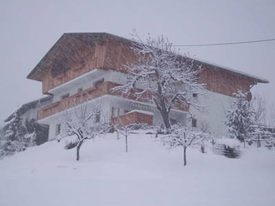 Bild 39 aus  Biobauernhof Leach-Hof