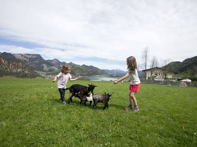 Bild 67 aus  Ferienhaus Althagerhof