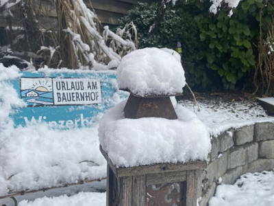 Bild 180 aus  Traubengarten Winkler