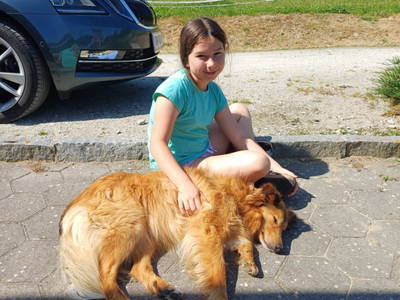 Bild 104 aus  Reiterhof Pfleger