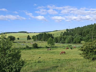 Bild 25 aus  Ferienhaus Plessberg