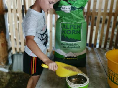 Bild 52 aus  Ferienwohnung Wallner