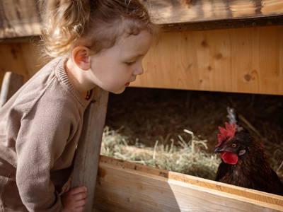 Bild 3 aus  Biobauernhof Mittermoos