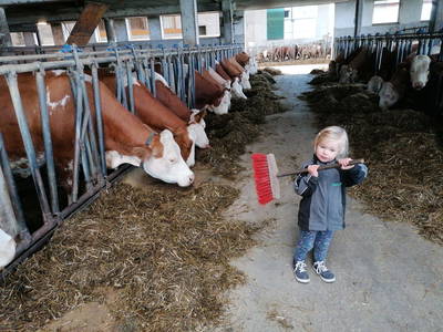 Bild 69 aus  Familie Resch am Hörlesberg