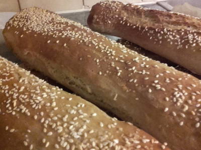 Bild 85 aus  Hartlhof Urlaub am Baby- und Kinderbauernhof