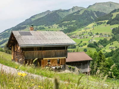 Bild 43 aus  Biberle Hof