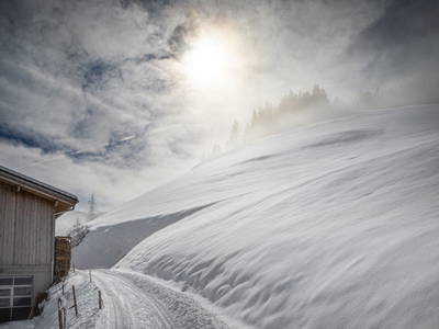 Bild 116 aus  Brennergut