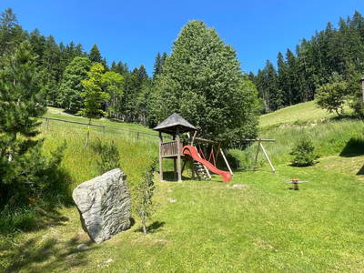 Bild 76 aus  Hanslgrabner