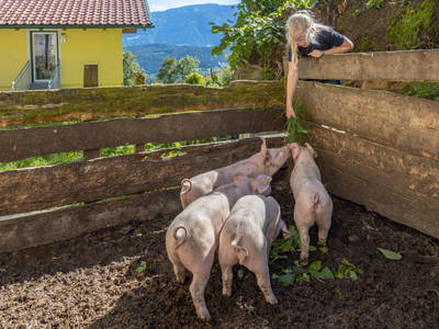 Bild 17 aus  Demobetrieb Bauernhof