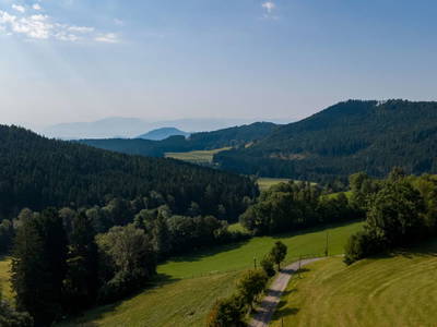 Bild 11 aus  Schlintl-Hof