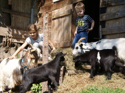 Bild 43 aus  Albachhof