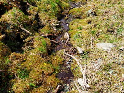Bild 54 aus  Hoislbauernhütte