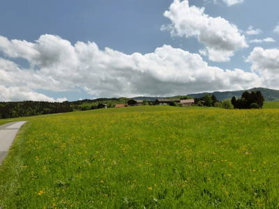 Bild 50 aus  Dichtlhof