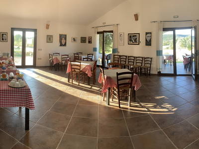 Bild 31 aus  Agriturismo Turudhis