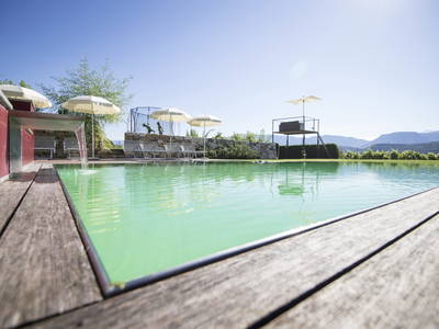 Bild 8 aus  Traubenhof    Pures Leben-Echt und natürlich