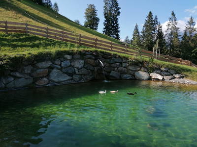 Bild 52 aus  Stegerhof