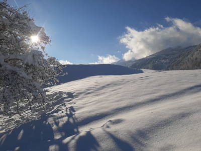 Bild 53 aus  Kaserer