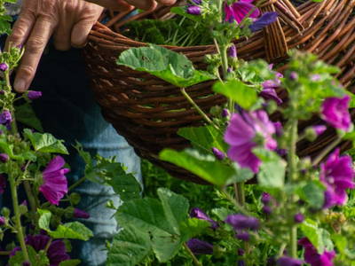 Bild 87 aus  Biberhof im Mühlviertel