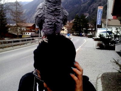 Bild 67 aus Appartementhaus Karlspitze Natur Pur