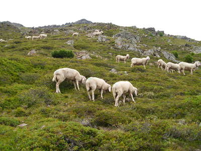 Bild 18 aus  Haus Sonneck