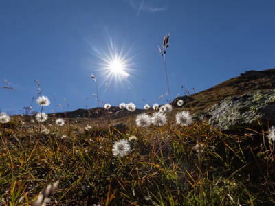 Bild 146 aus  Holzackerhof