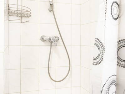 Bild 49 aus  Schobergut