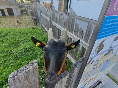 Bild 106 aus  Vierthalerhof