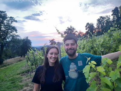 Bild 79 aus  Trattnachtaler Weinhaus