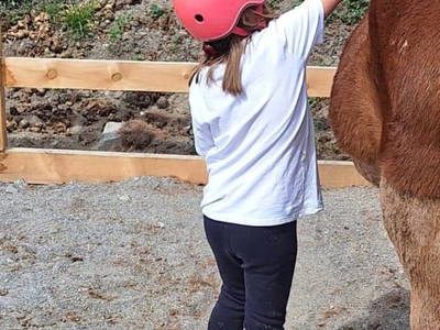 Bild 22 aus  Reiterhof Romanasa