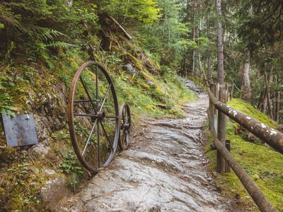 Bild 161 aus  Landhaus Zangerl - Kobelerhof