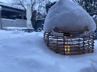 Bild 210 aus  Traubengarten Winkler