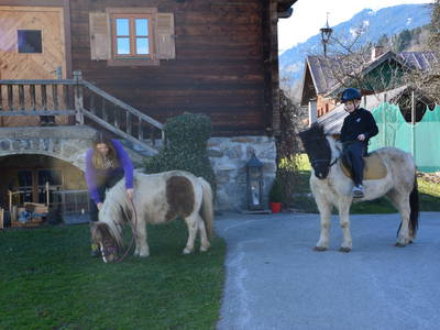 Bild 22 aus  Ferienhaus am Bognerhof