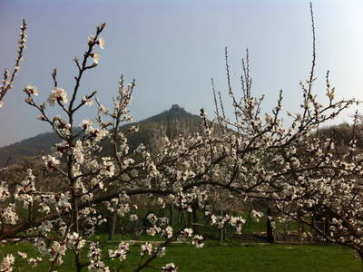 Bild 2 aus  Radlerhof Kienesberger