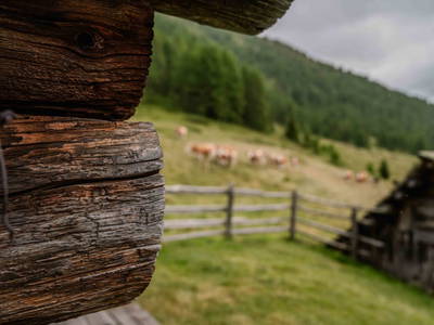 Bild 53 aus  Bachbauernhütte