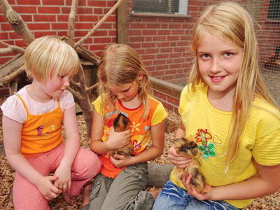 Bild 4 aus  "Der Eichenhof"