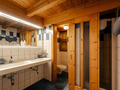 Bild 129 aus  Ferienhof Obergasser & Pension Bergblick