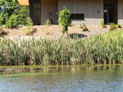 Bild 24 aus  Lodge am Wasser