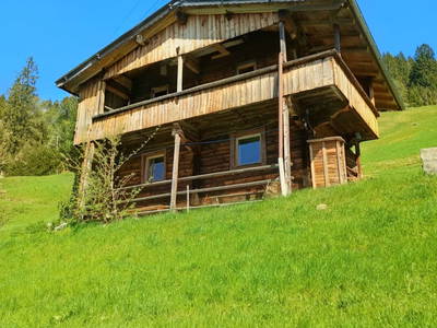Bild 2 aus  Berghütte Boid