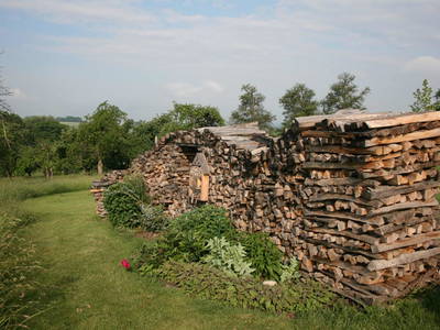 Bild 13 aus  Waldbothgut