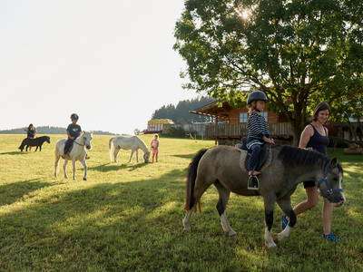 Bild 25 aus  Wenighof