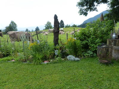 Bild 4 aus  Am Holderbusch