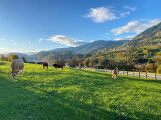 Bauernhof Sonnenhuab aus Sankt Veit im Pongau