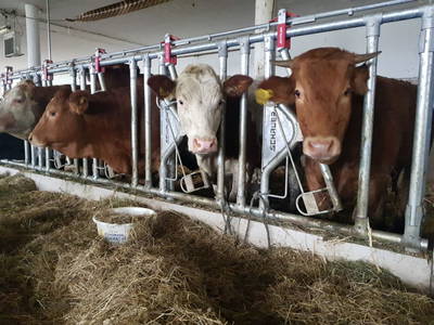 Bild 51 aus  Santnergut