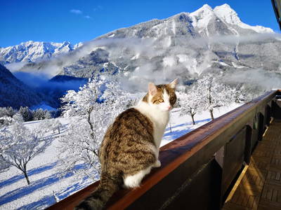 Bild 44 aus  Bruderhof