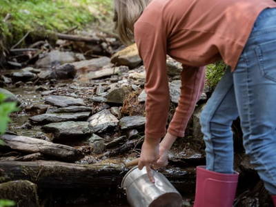 Bild 128 aus  Biobauernhof Mittermoos