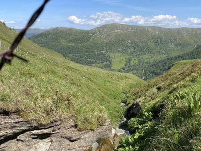 Bild 44 aus  Peitlerhütte