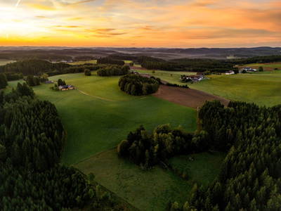 Bild 91 aus  Das Forsthaus Langschlägerwald - Itha´s secret escape