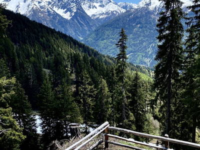 Bild 29 aus  Haus Wille